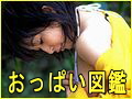 バナー