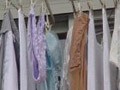 バナー